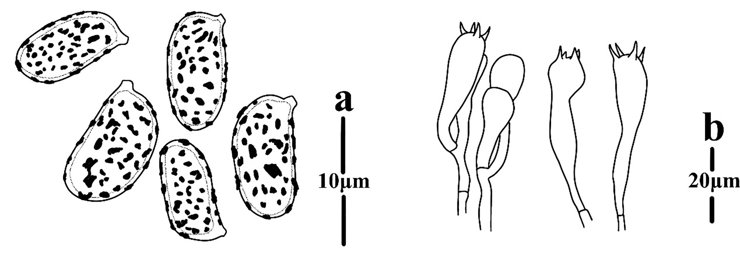 Figure 47